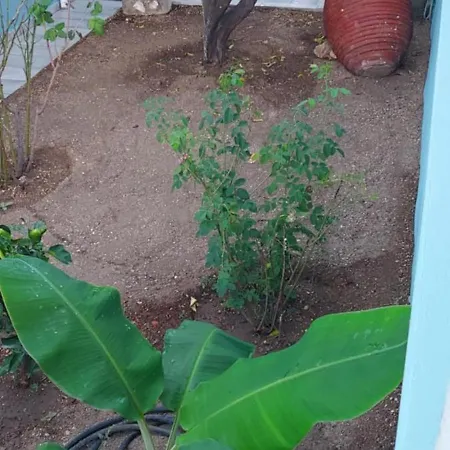 Ionian Casa Azul